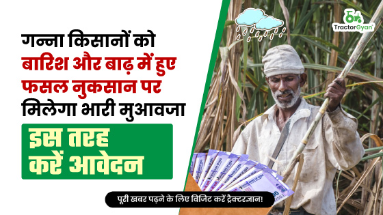 गन्ना किसानों को बारिश और बाढ़ में हुए फसल नुकसान पर मिलेगा भारी मुआवजा, इस तरह करें आवेदन