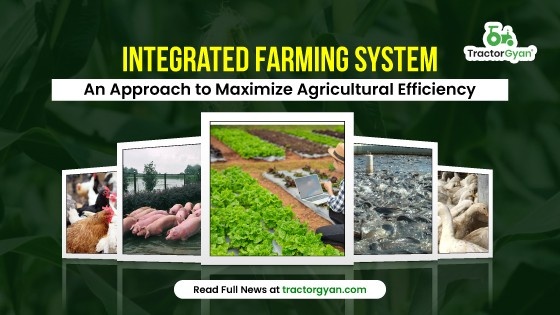 Integrated Farming System: An Approach to Maximize Agricultural Efficiency