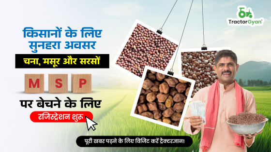 किसानों के लिए सुनहरा अवसर चना, मसूर और सरसों MSP पर बेचने के लिए रजिस्ट्रेशन शुरू