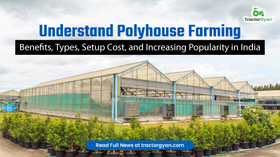Understand Polyhouse Farming Benefits, Types, Setup Costs, and Increasing popularity in India image