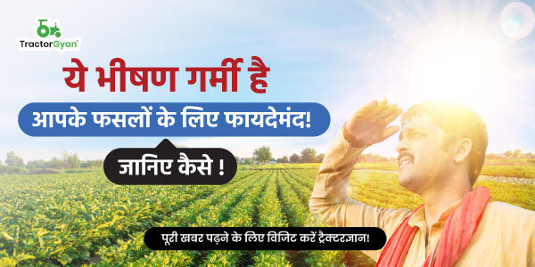 ये भीषण गर्मी है आपके फसलों के लिए फायदेमंद! जानिए कैसे ! image