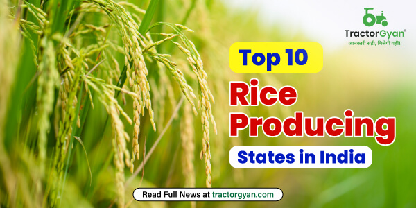 Top 10 Rice Producing States in India 2025 | Tractorgyan image