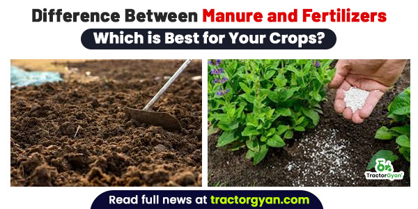 Difference Between Manure and Fertilizers: Which is Best for Your Crops? image