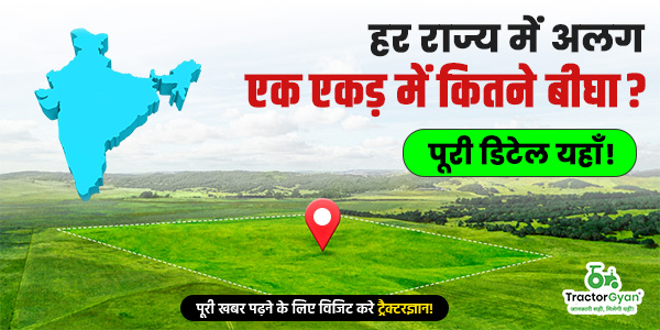 हर राज्य में अलग: एक एकड़ में कितने बीघा? पूरी डिटेल यहाँ! image