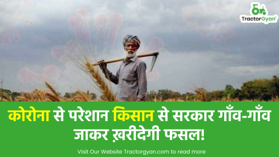 कोरोना से परेशान किसान से सरकार गाँव-गाँव जाकर ख़रीदेगी फसल! image