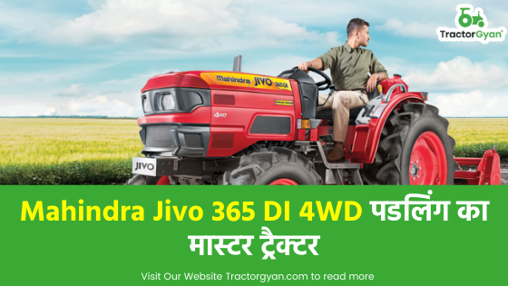 Mahindra Jivo 365 DI 4WD पडलिंग का मास्टर ट्रैक्टर