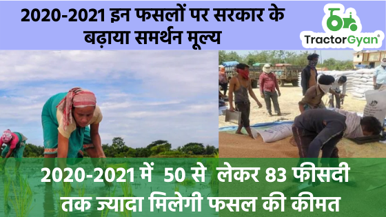इन फसलों पर सरकार के बढ़ाया समर्थन मूल्य