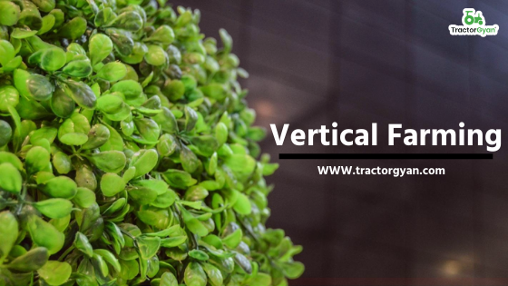 Vertical Farming: Modern spacious way of farming. image