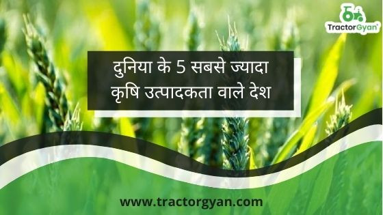 Top 5 Largest Agricultural Producing Countries In The World top-5-largest-agricultural-producing-countries-in-the-world