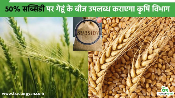 इस राज्य के किसान बाज़ार से ना खरीदें महंगे बीज, 50% सब्सिडी पर गेहूं के बीज उपलब्ध कराएगा कृषि विभाग।