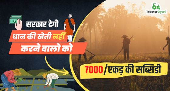 मेरी फसल मेरा ब्यौरा पोर्टल: सरकार देगी धान की खेती नहीं करने वालो को 7000/एकड़ की सब्सिडी