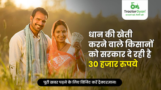धान की खेती करने वाले किसानों को सरकार दे रही है 30 हजार रुपये